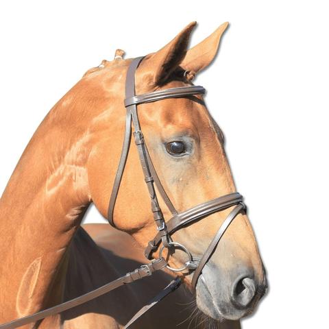 Ogłowie Waldhausen Star Lifestyle brązowe