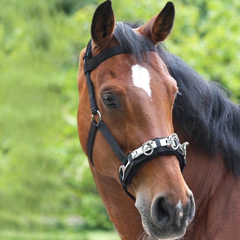 Kawecan parciany z okuciem Waldhausen czarny