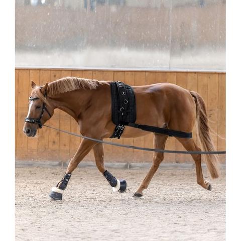 Pas pod tylne nogi do wzmocnienia mięśni zadu Waldhausen czarny