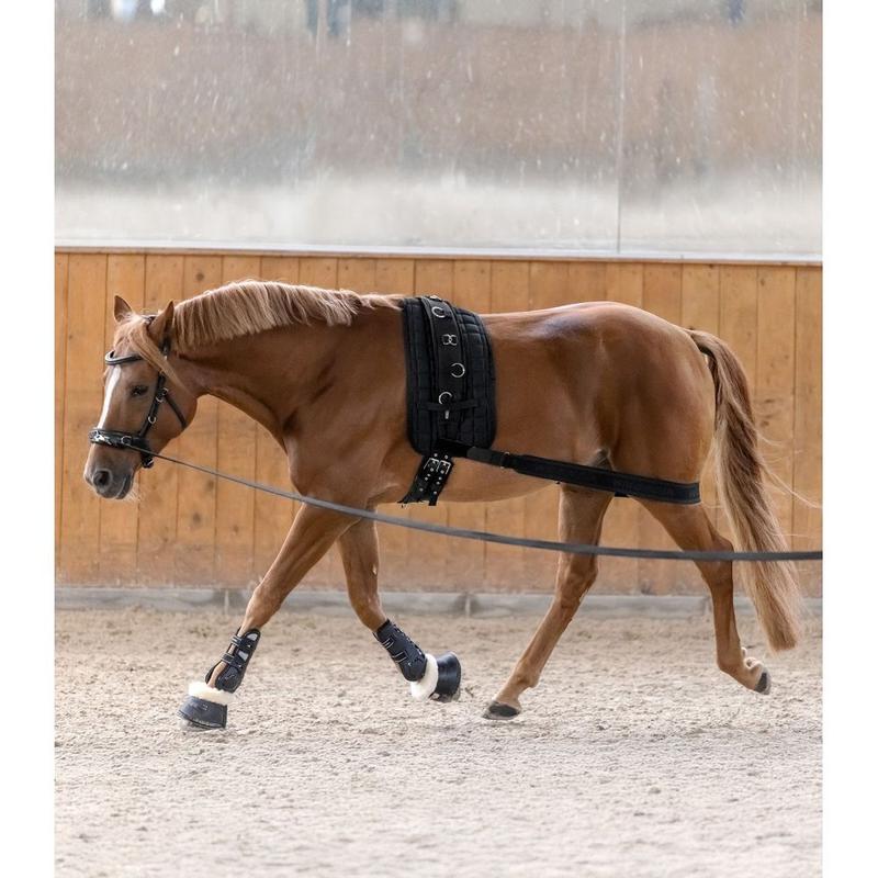 Pas pod tylne nogi do wzmocnienia mięśni zadu Waldhausen czarny