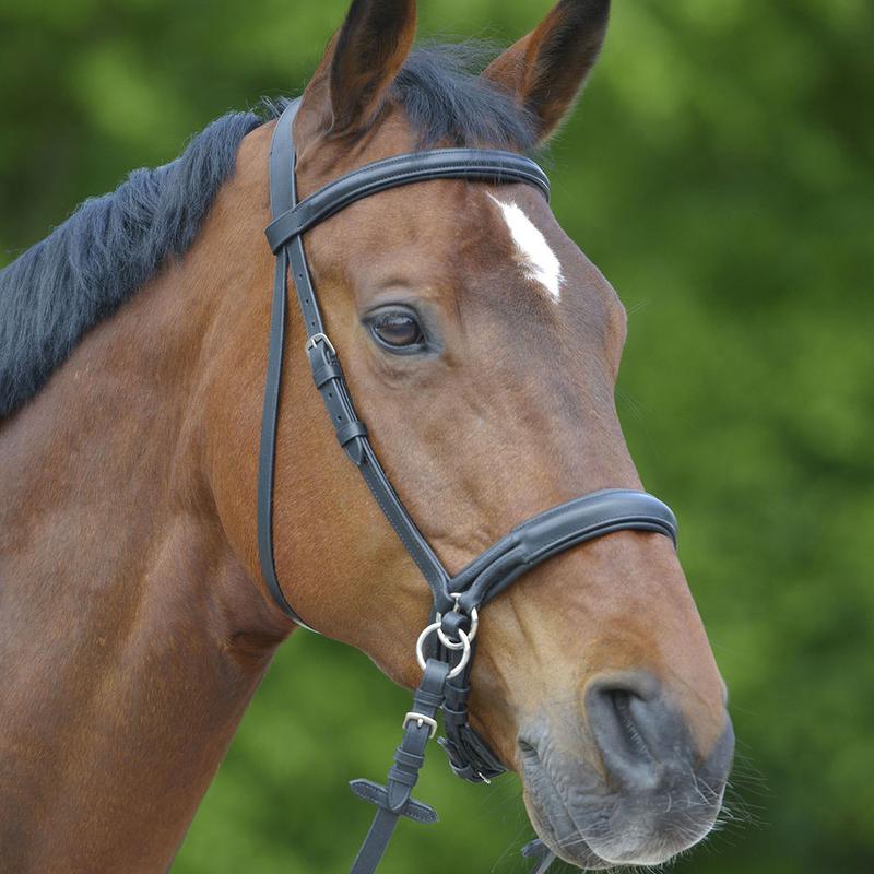 Ogłowie bezwędzidłowe Waldhausen Star czarne