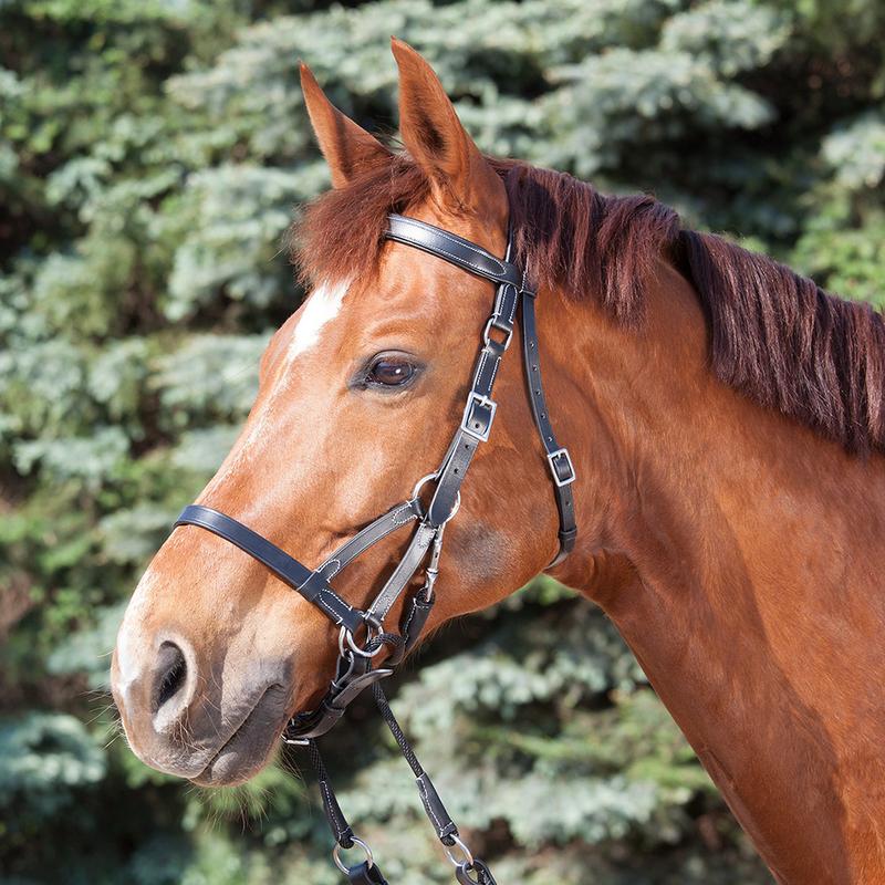 Ogłowie bezwędzidłowe Waldhausen Star Two czarne