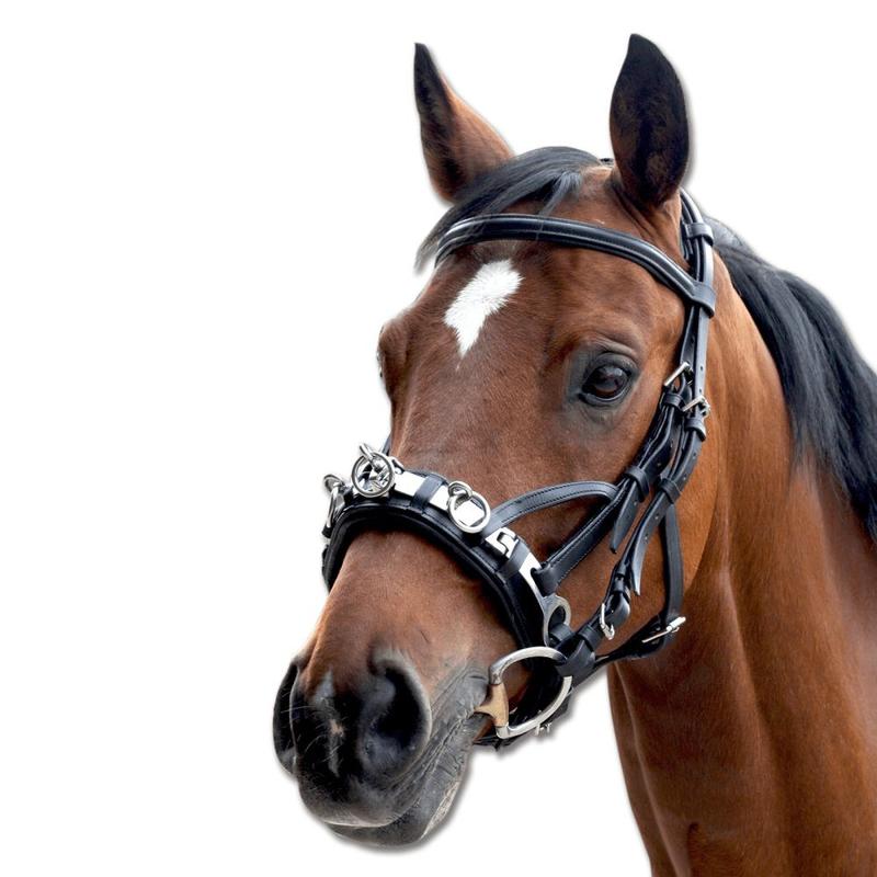 Kawecan skórzany Waldhausen z paskami policzkowymi czarny