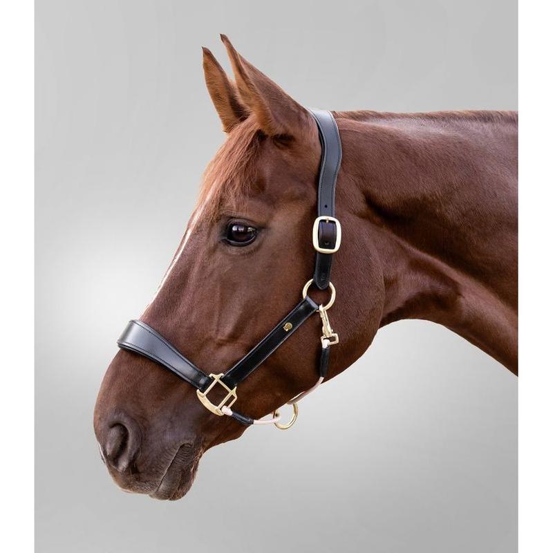 Kantar skórzany Waldhausen czarny