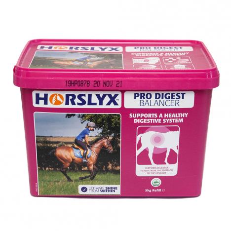 Lizawka Horslyx Pro Digest duża