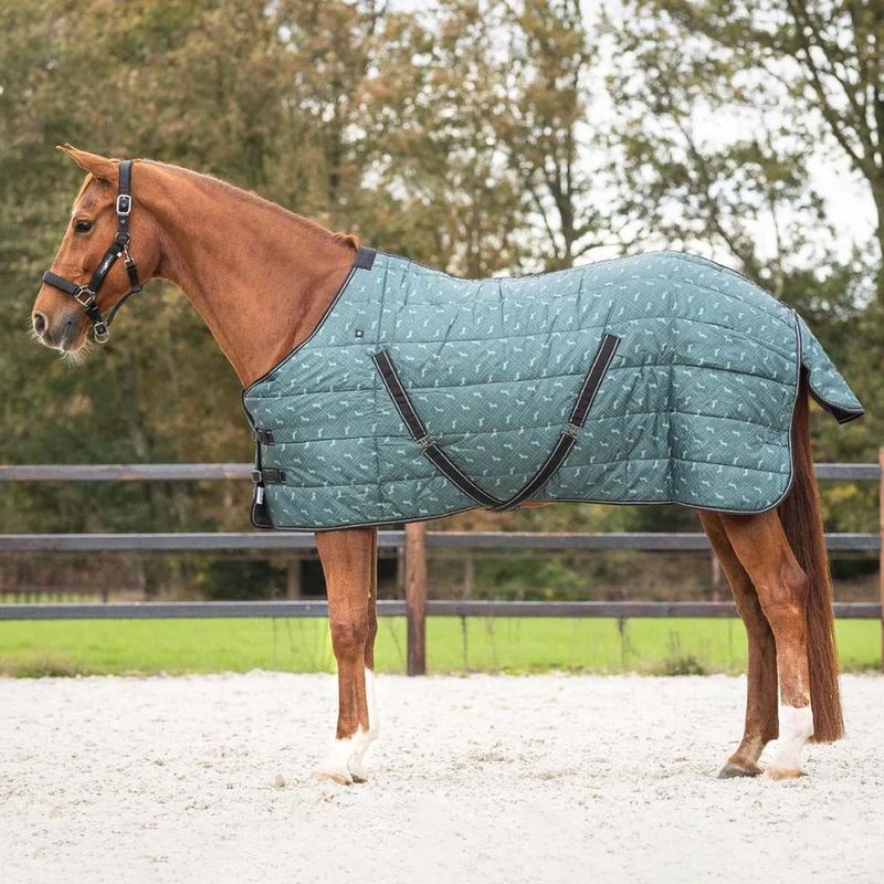 Derka stajenna QHP Start 200g Emerald, ciemnozielona