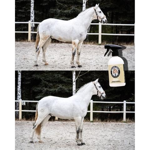 Szampon bez spłukiwania Doctor Horse Suchy Szampon