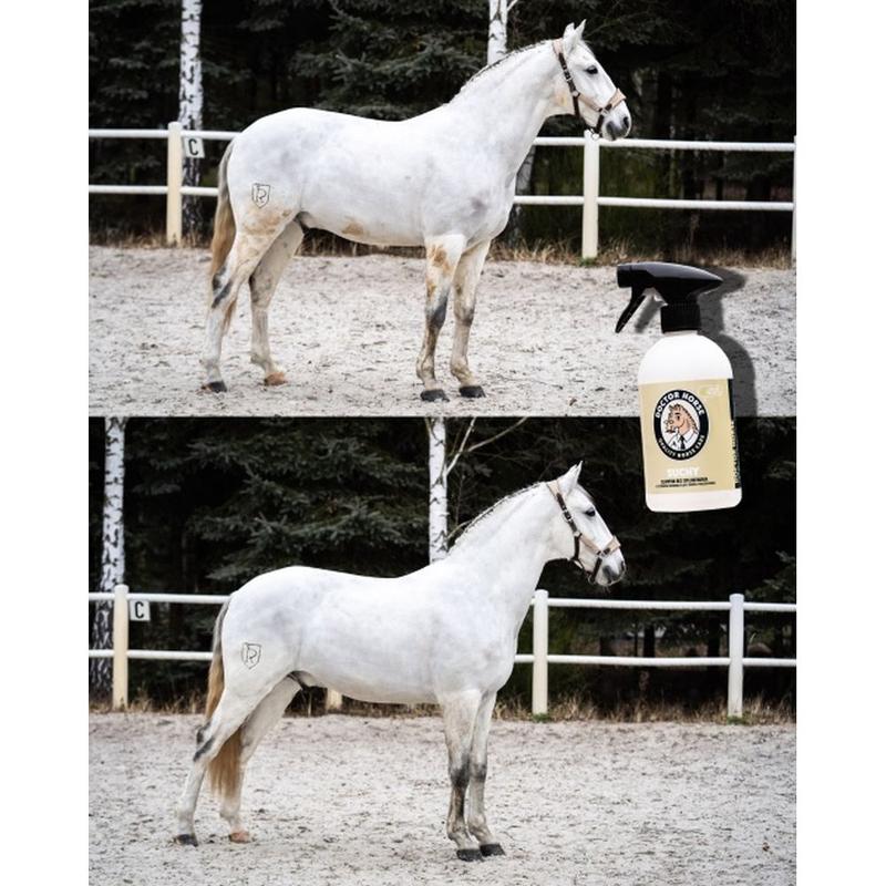 Szampon bez spłukiwania Doctor Horse Suchy Szampon