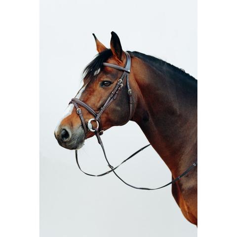 Ogłowie Horze Buxton brązowe