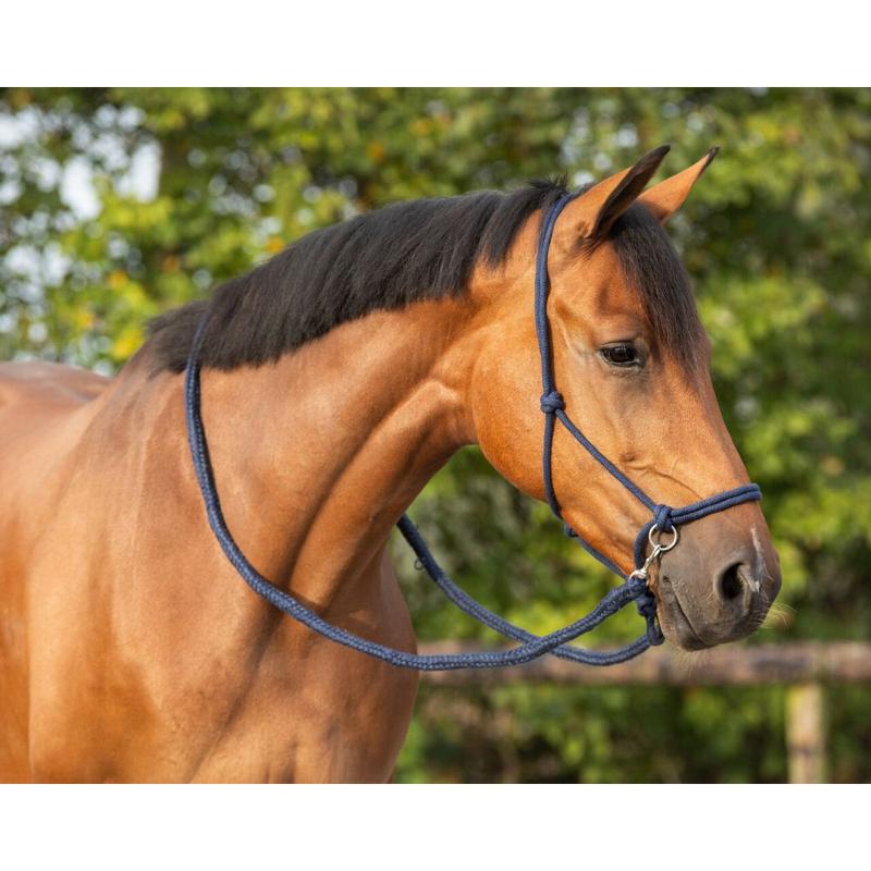 Kantar sznurkowy z wodzami QHP granatowy