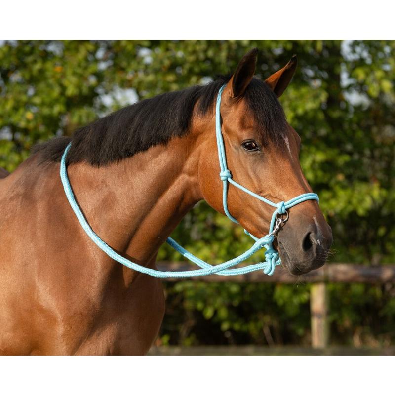 Kantar sznurkowy z wodzami QHP niebieski