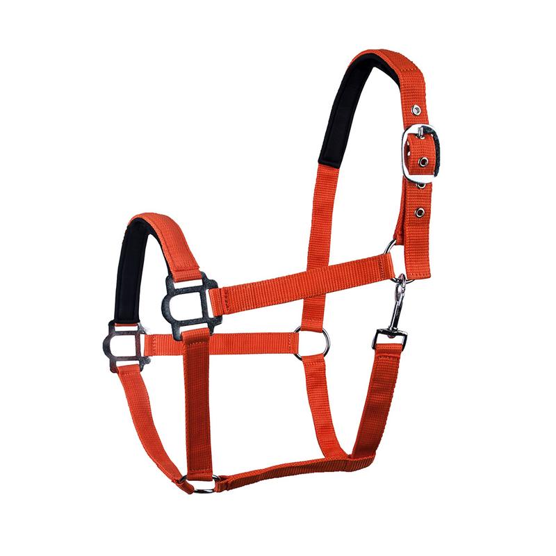 Kantar HKM Sydney miękko podszyty pomarańczowy neon