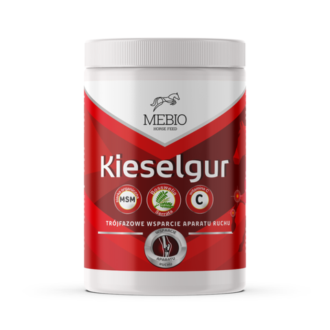 Kieselgur MSM + WIT C trójfazowe wsparcie aparatu ruchu St.Hippolyt