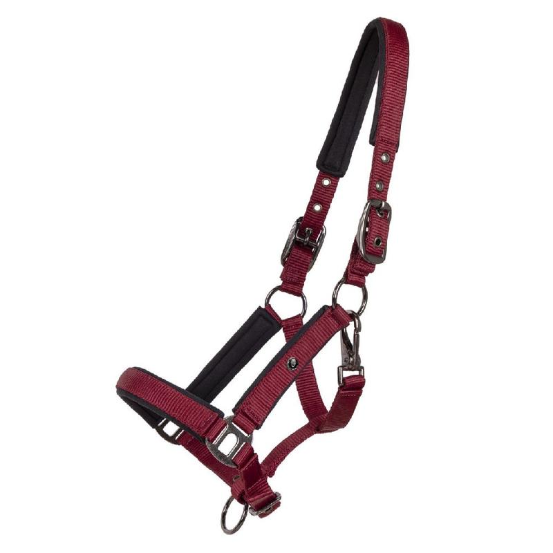 Kantar źrebięcy QHP Deluxe Burgundy, burgundowy