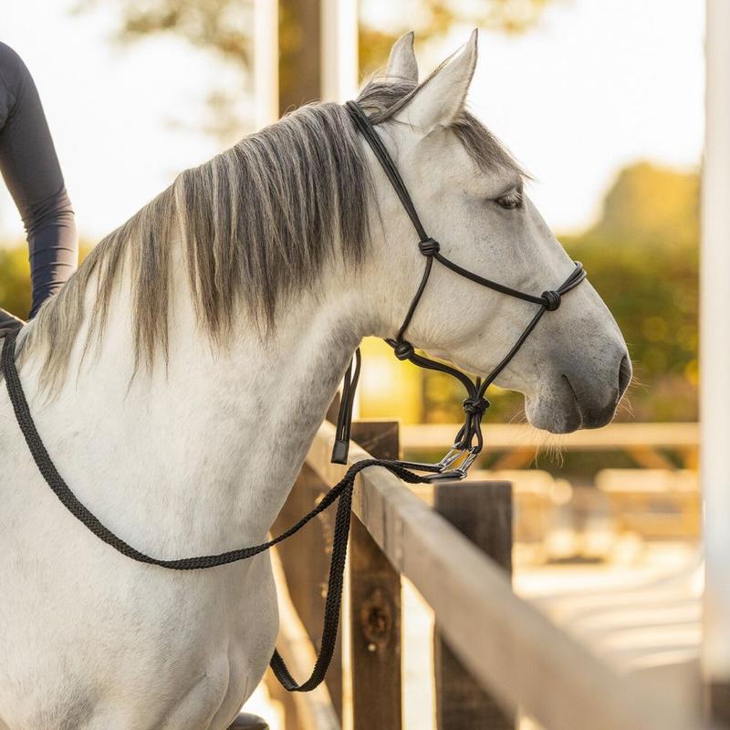 Kantar skórzany QHP Liberta czarny