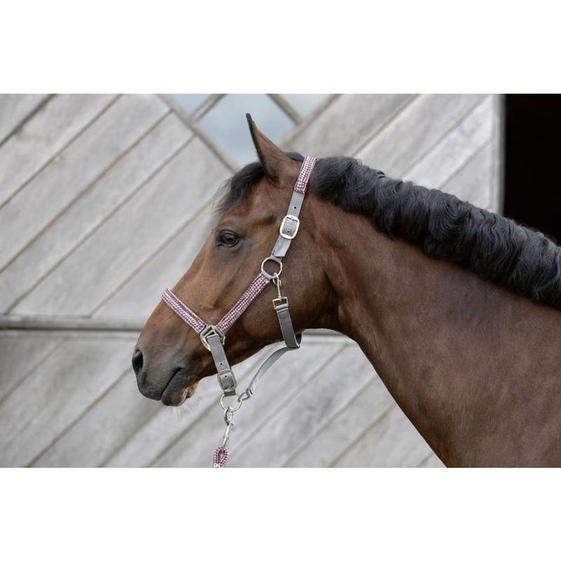 Kantar z uwiązem HKM CM Della Sera szaro-ciemnoróżowy