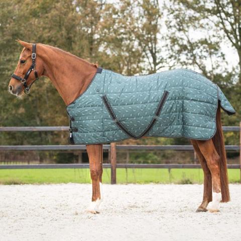 Derka stajenna QHP Start 200g Emerald, ciemnozielona