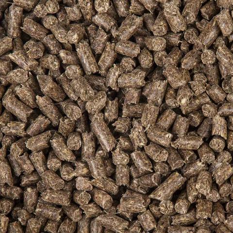 Biotyna SUKCES