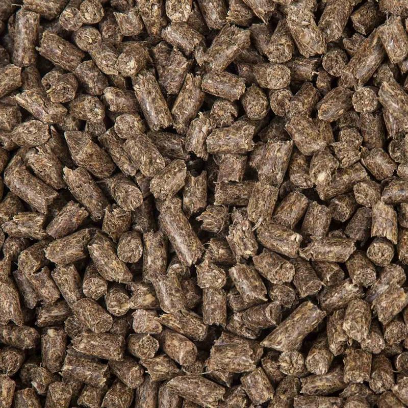 Biotyna SUKCES