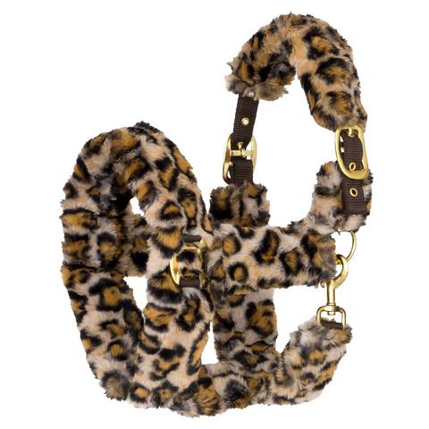 Kantar futerkowy Start Teddy Leopard panterka