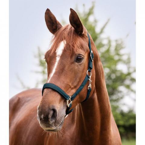 Kantar Waldhausen Satin petrolowy