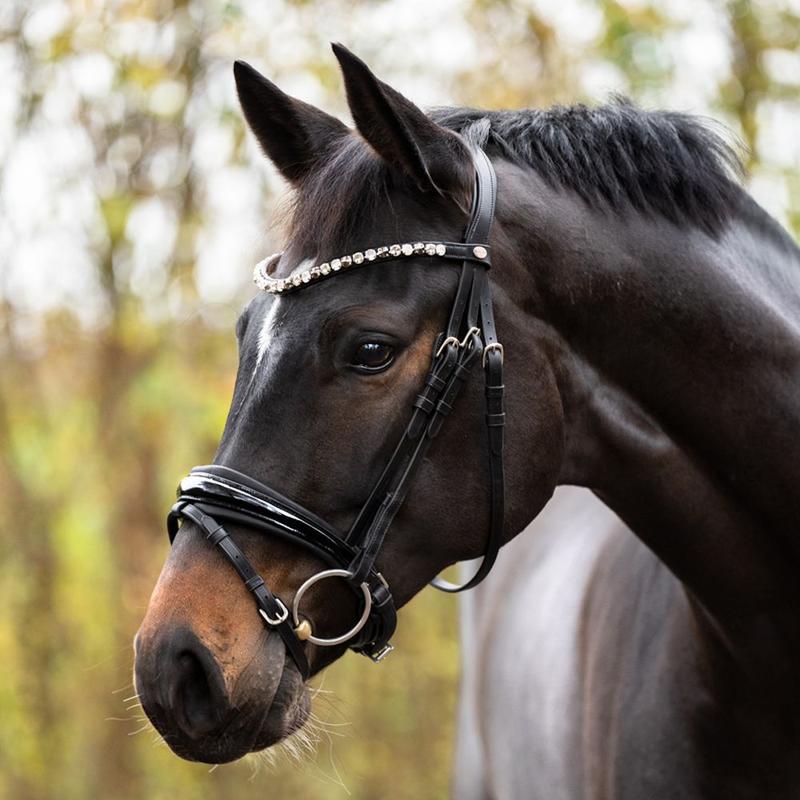 Ogłowie Kavalkade Zora czarne