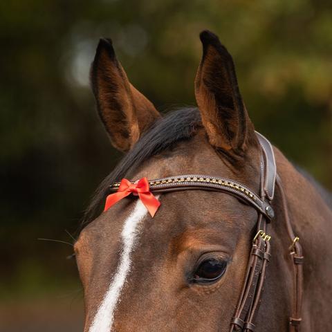 Kokarda ostrzegawcza dla nerwowego konia QHP czerwona