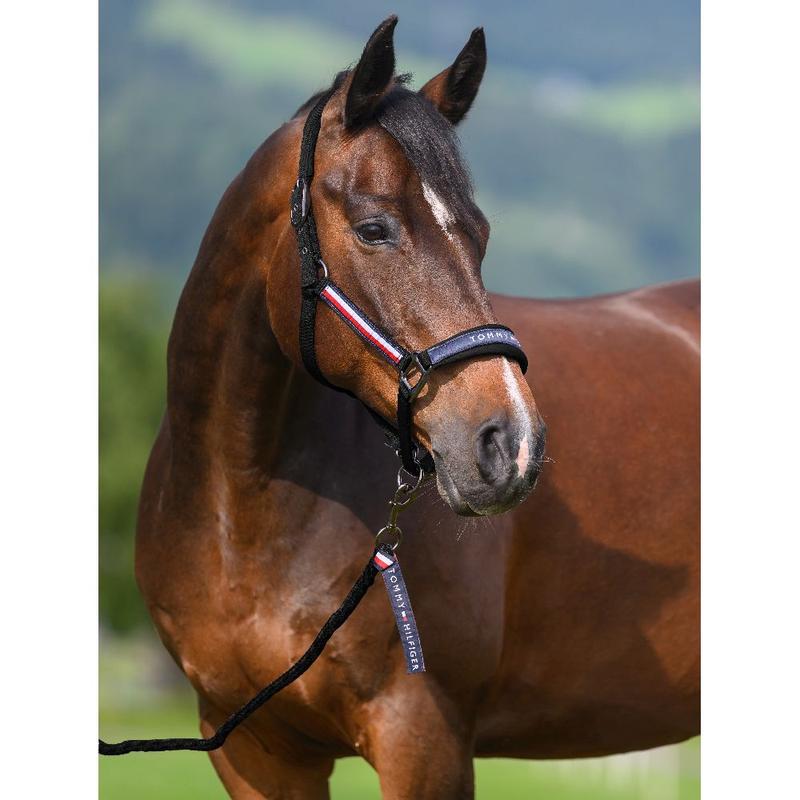 Kantar z uwiązem Tommy Hilfiger Equestrian Yale Black, czarny 2026