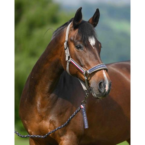 Kantar z uwiązem Tommy Hilfiger Equestrian Yale Ash, oliwkowy 2026