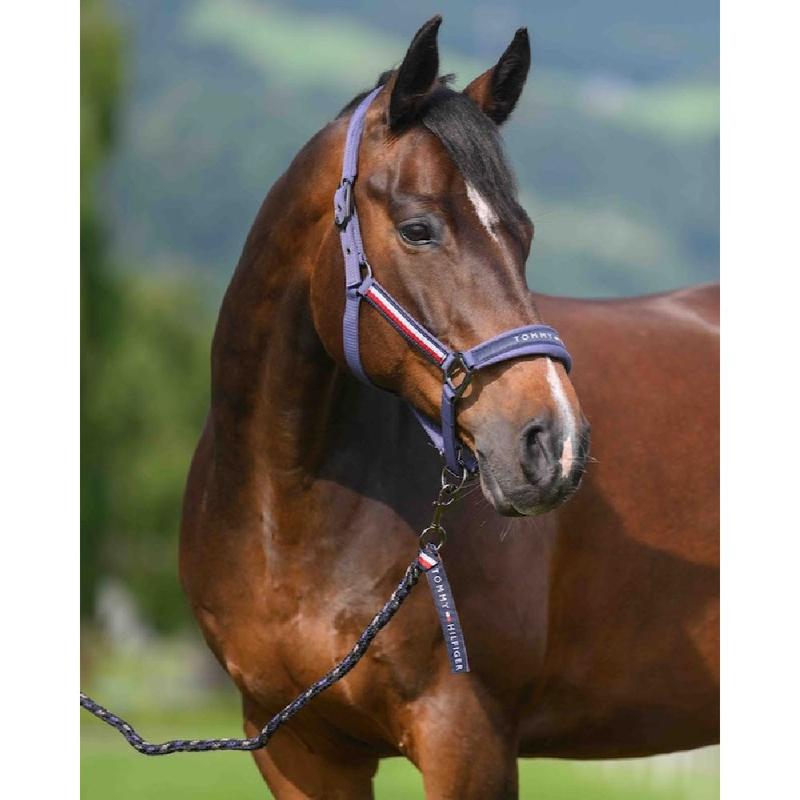 Kantar z uwiązem Tommy Hilfiger Equestrian Yale Indigo, niebieski 2026