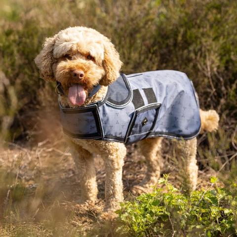 Derka dla psa QHP stalowoniebieska