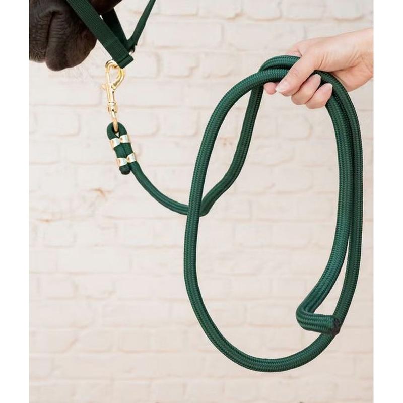 Uwiąz Kentucky ciemnozielony