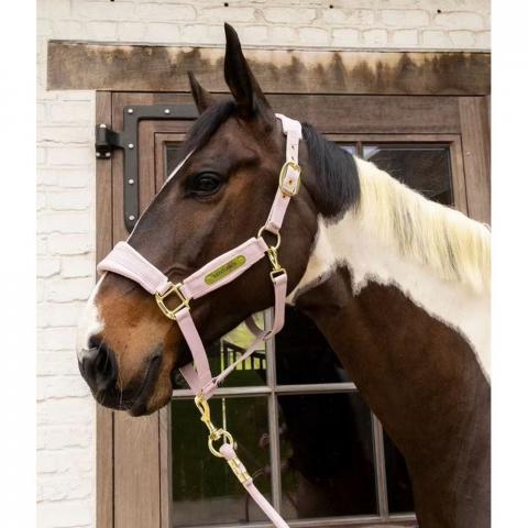 Kantar Kentucky Velvet Soft Rose