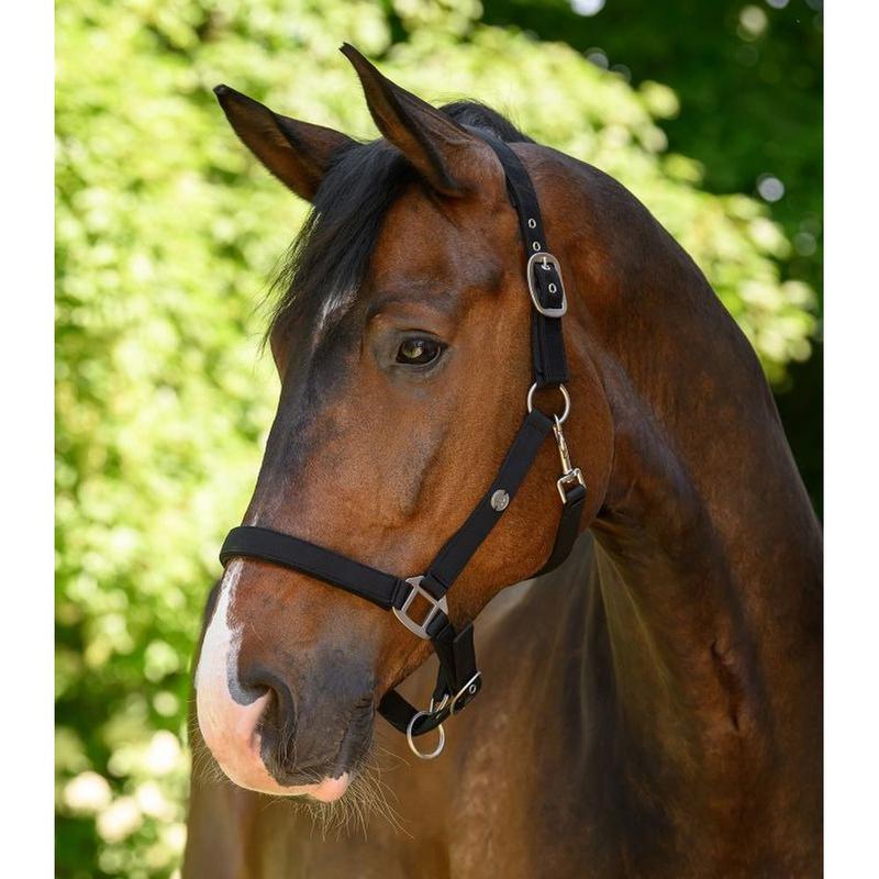 Kantar Waldhausen Trinidad czarny