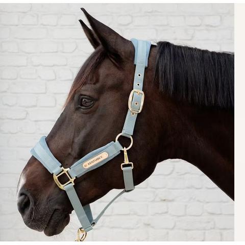 Kantar Kentucky Velvet Light Blue