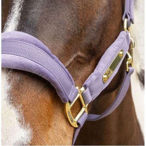 Kantar Kentucky Velvet Purple