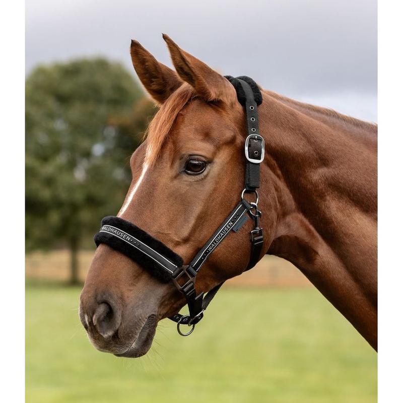 Kantar z futerkiem Waldhausen Elegant czarno-czarny