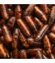 Biopar-biologiczny wróg szkodników