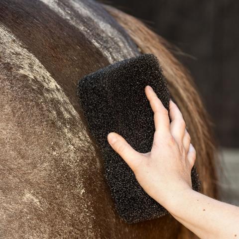 Gąbka szorstka QHP czarna