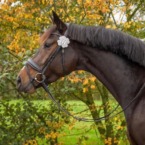 Numery startowe QHP Clover Silver srebrne