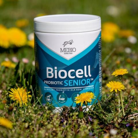 Probiotyk MEBIO BIOCELL Senior