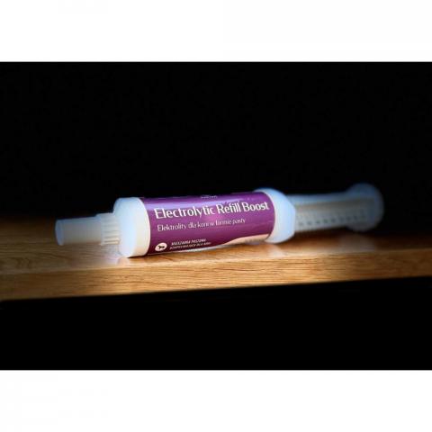 Pasta ze skoncentrowanymi elektrolitami Kadans Elektrolytic Refill Booster