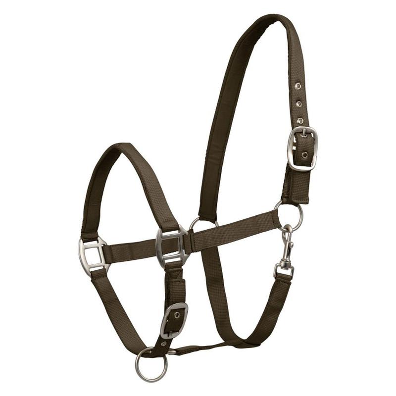 Kantar Waldhausen Satin khaki