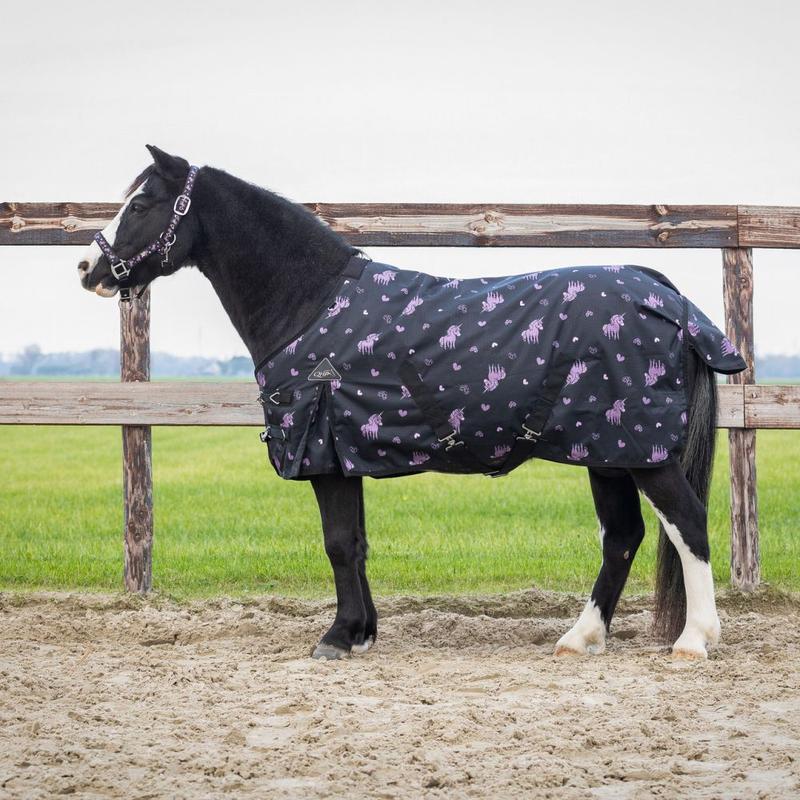 Derka padokowa QHP 100g 600D Black/Violet, czarno-fioletowa