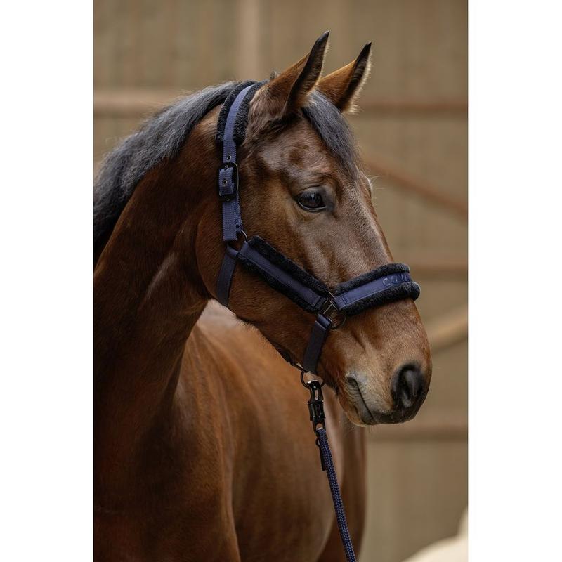 Kantar z futerkiem Covalliero A/W granatowy 2025