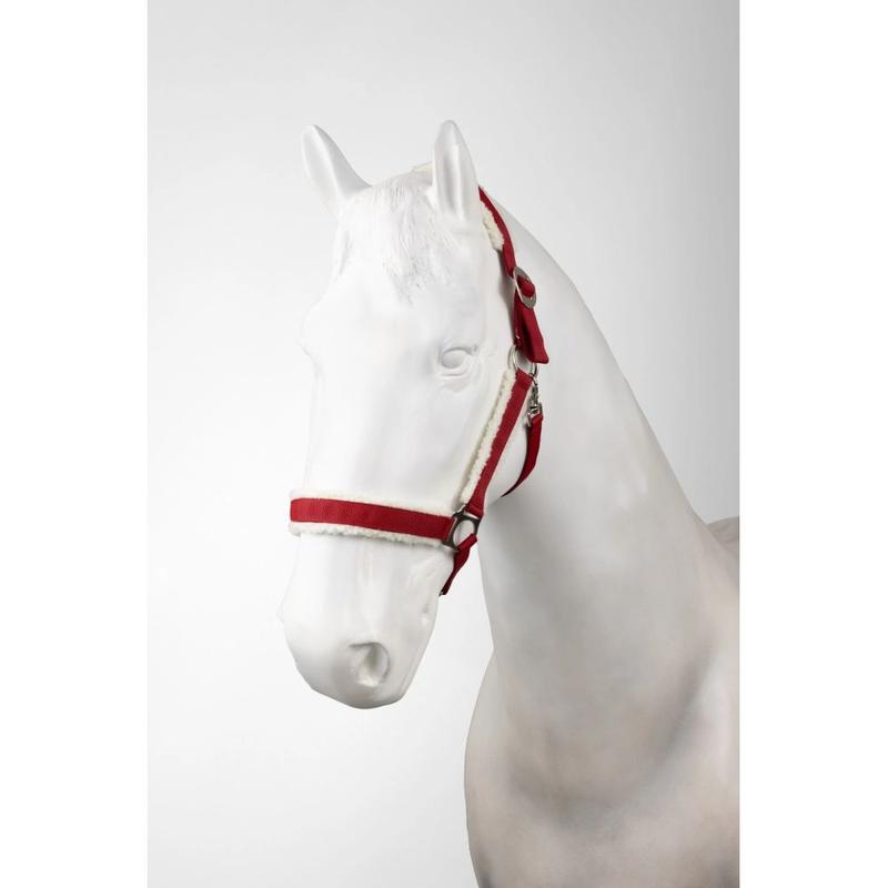 Kantar bożonarodzeniowy Horze