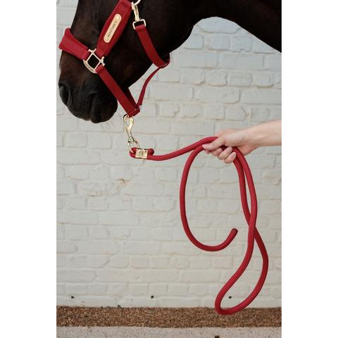 Uwiąz Kentucky Red, czerwony