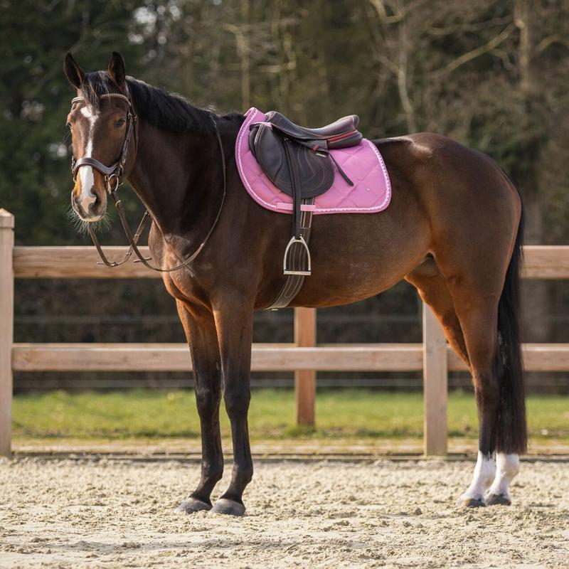 Czaprak QHP Lyvia różowy