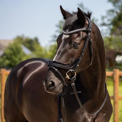 Ogłowie Sensisoft QHP czarne