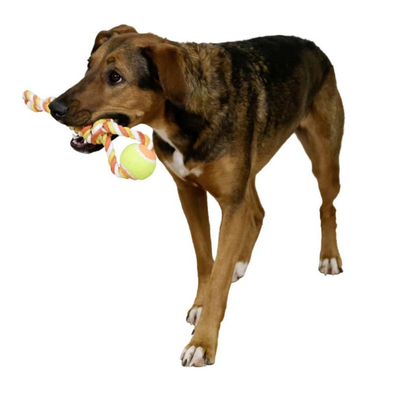 Zabawka dla psa Kerbl piłka na linie kolorowa